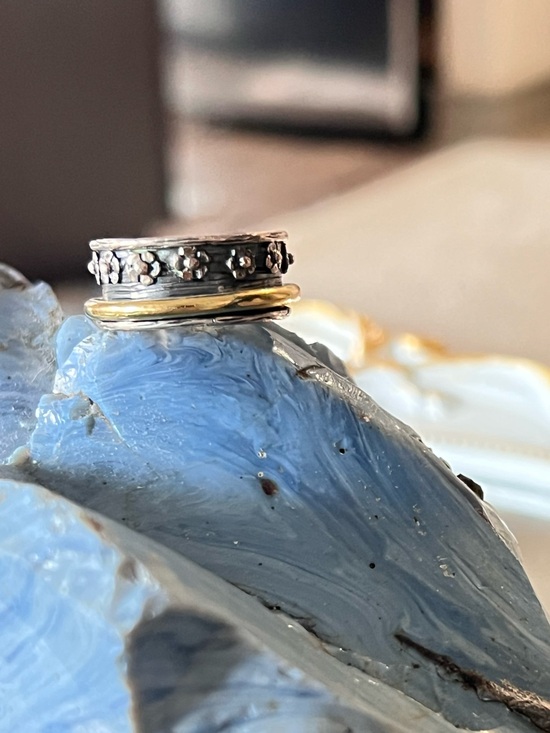 Jewelry - Stacked Spinner 925 Silver Ring